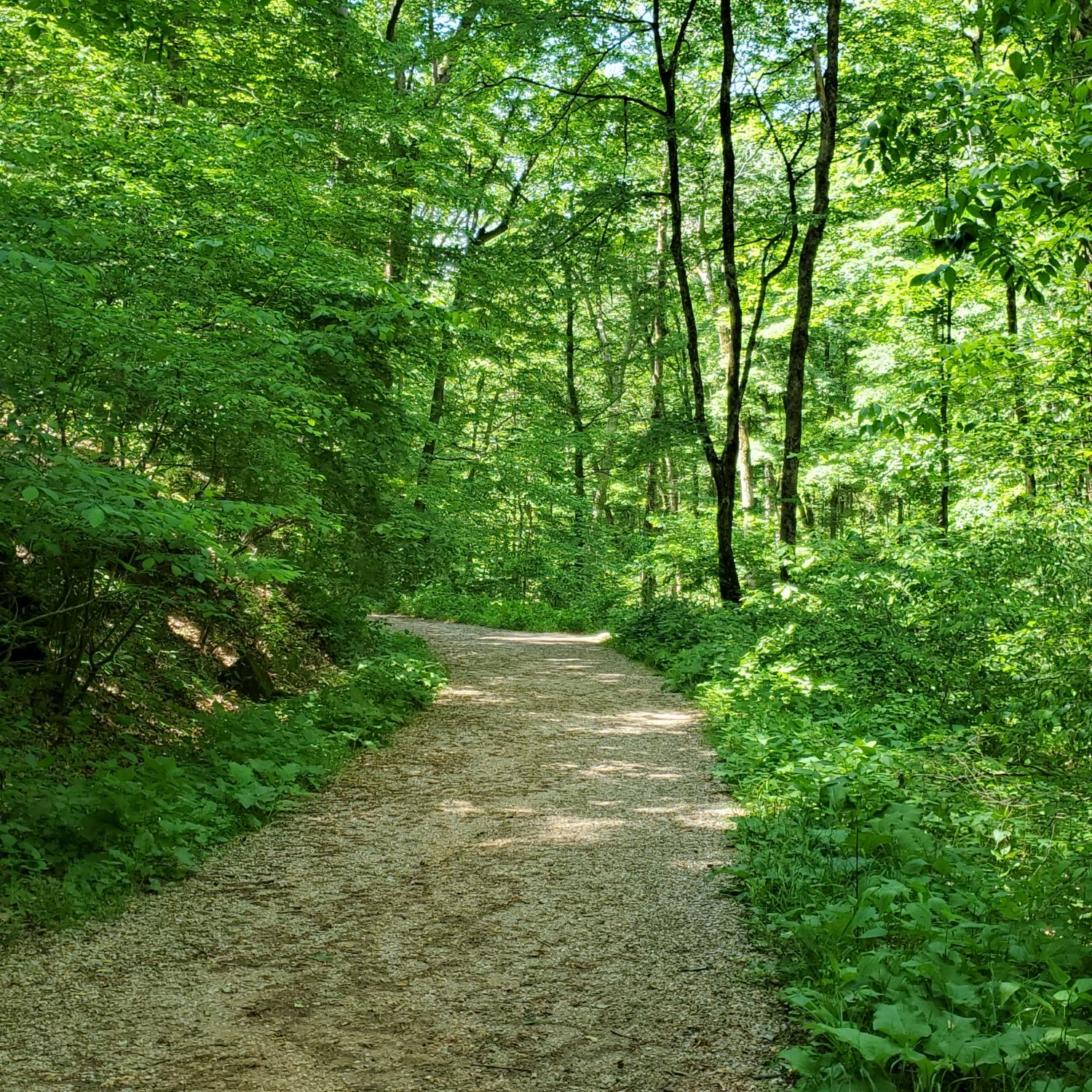 Mammouth Cave National Park Hike 